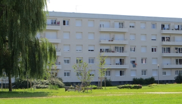 F3 les ailes 7.jpg